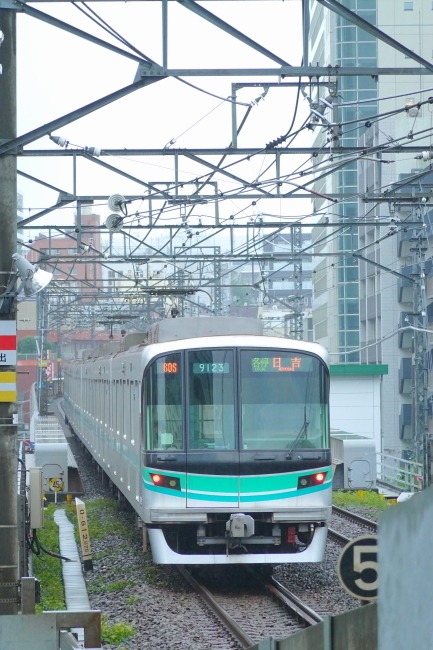 DSC05391+1.JPG