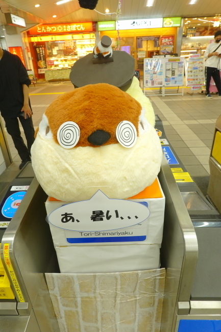 DSC05411+1.JPG