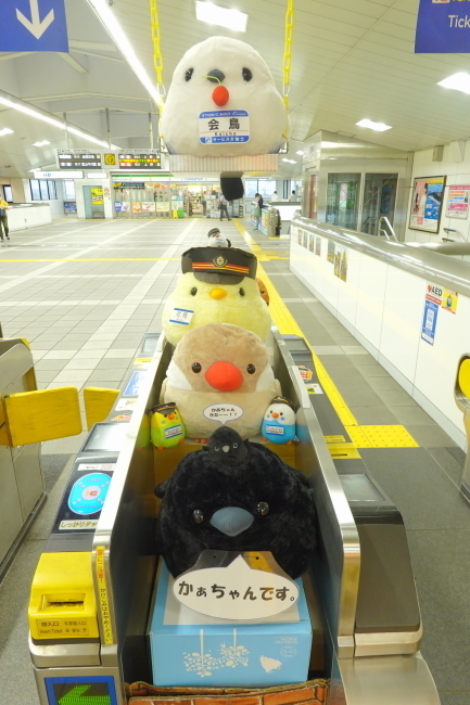 DSC05412+1.JPG