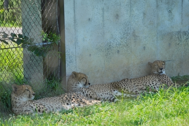 DSC05455.JPG