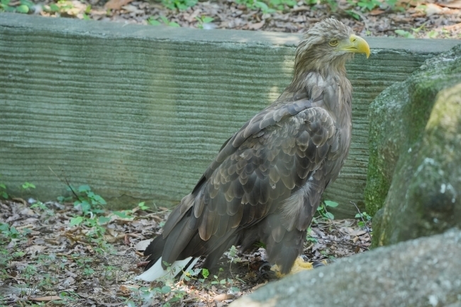 DSC05886.JPG