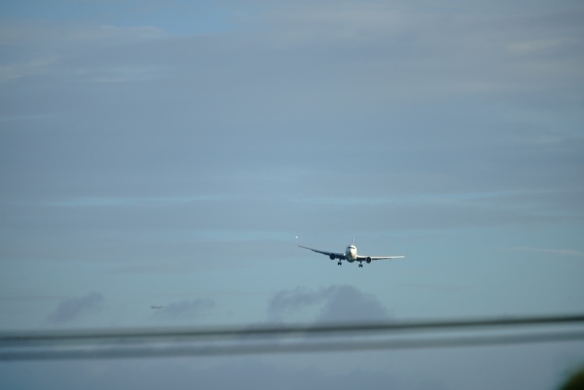 DSC06010.JPG