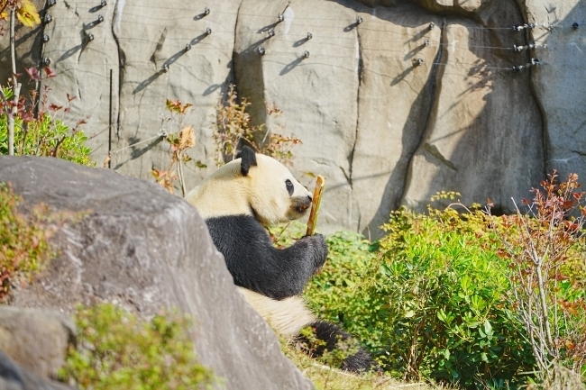DSC06026.JPG