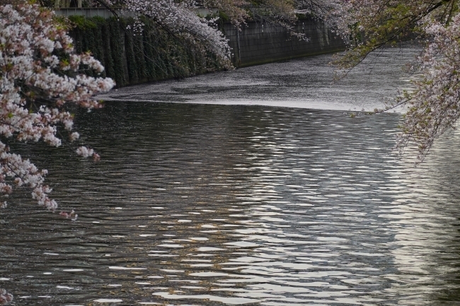 DSC06145.jpg