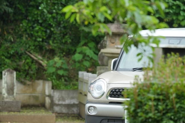 DSC06783.jpg