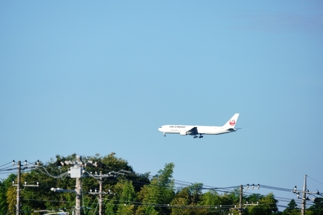 DSC06807.JPG