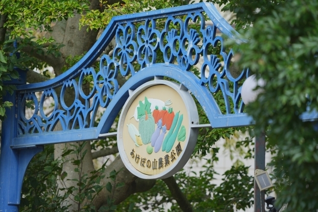 DSC07253.JPG