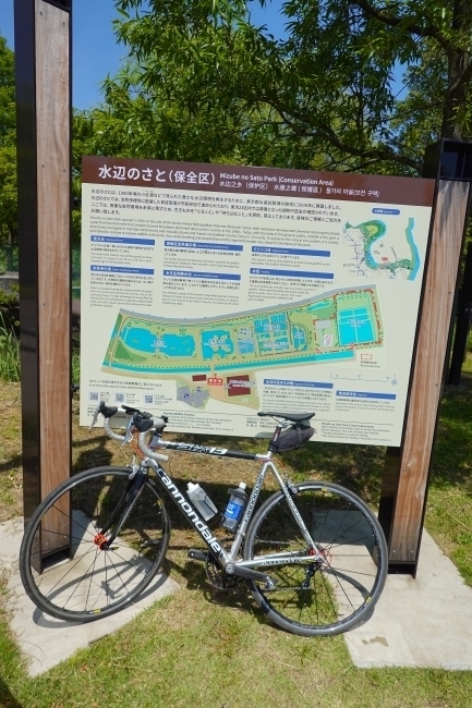 DSC07390.jpg