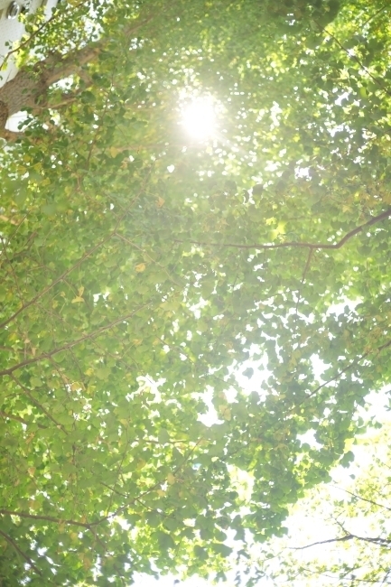 DSC07469.jpg