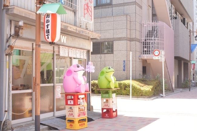 DSC07494.jpg