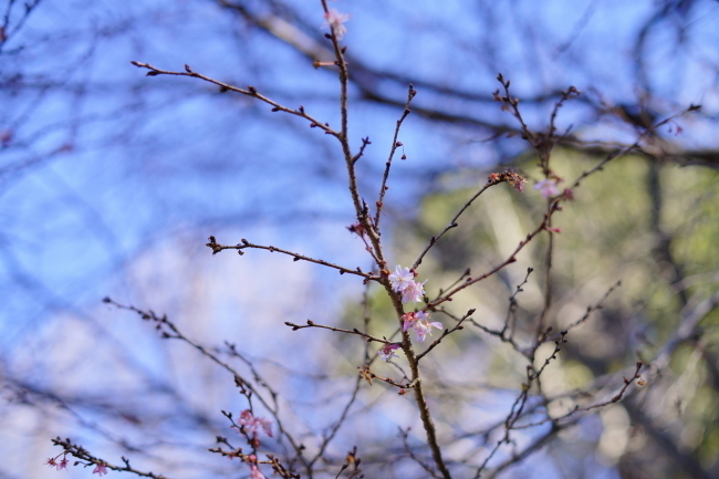 DSC07843.JPG