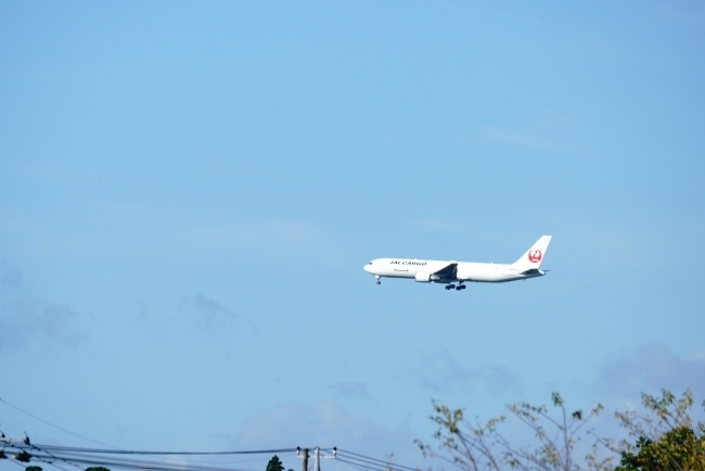 DSC08077.JPG