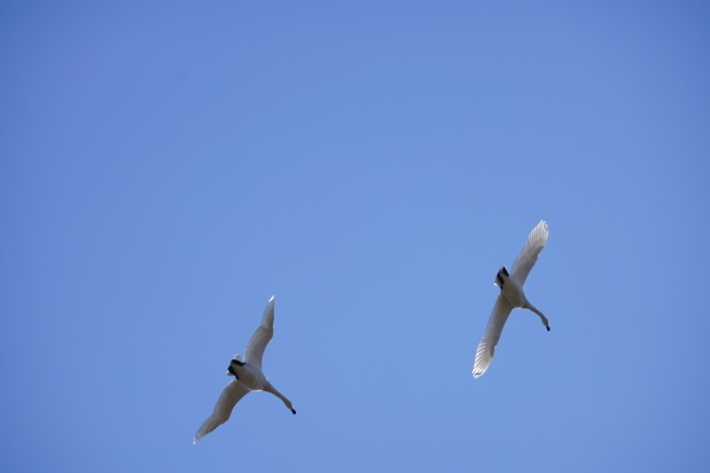 DSC08107-1+.JPG
