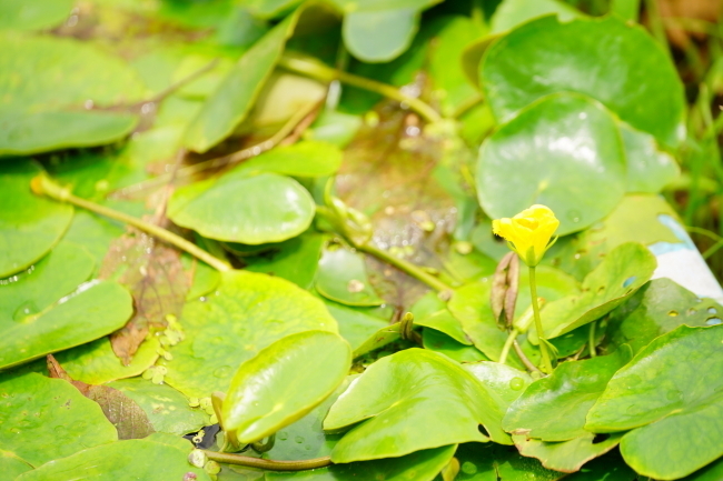 DSC08329+1.JPG
