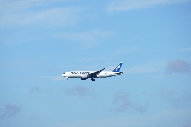 DSC08331.JPG