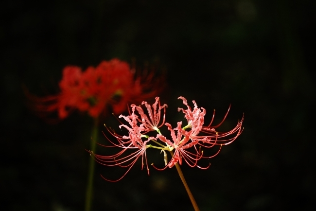 DSC08413.JPG