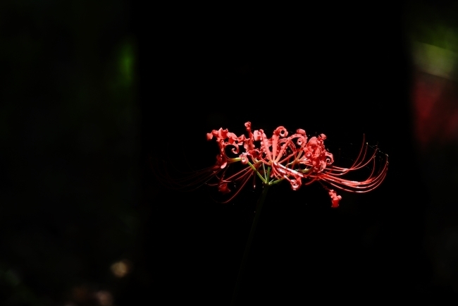 DSC08443.JPG
