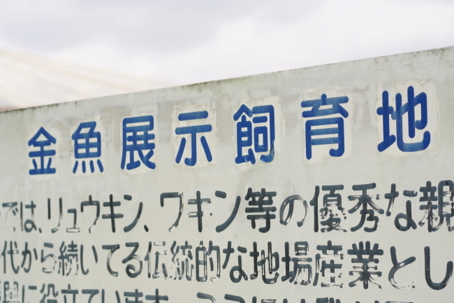 DSC08562+1.JPG