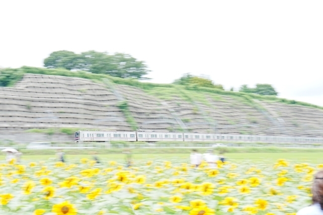 DSC08572.JPG