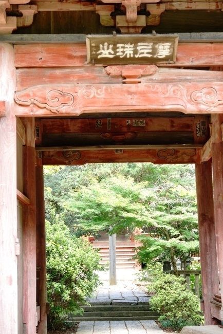 DSC08666.JPG
