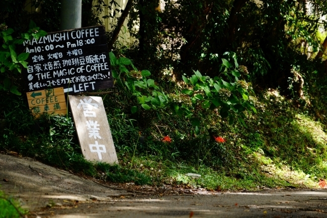 DSC08685.JPG