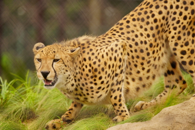 DSC08777+1.JPG