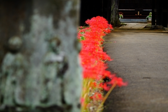 DSC08787.JPG