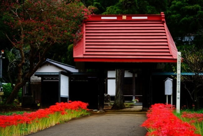 DSC08797.JPG