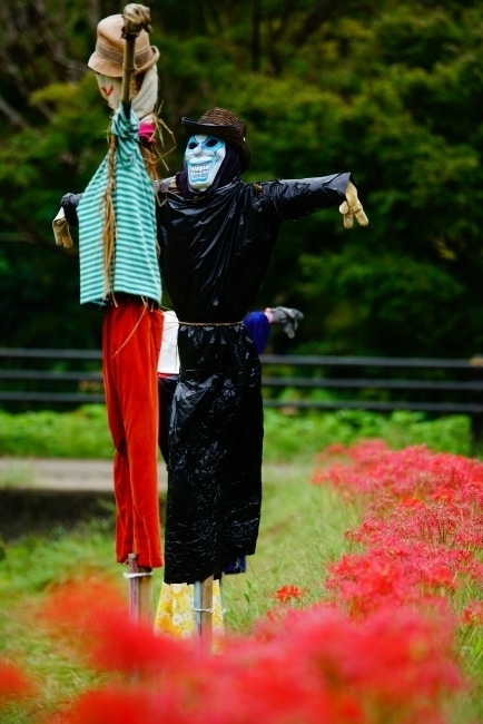 DSC08802.JPG