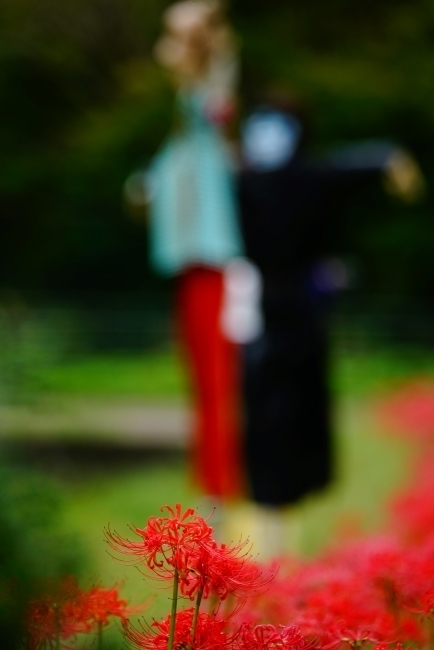 DSC08803.JPG