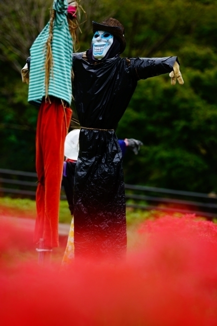 DSC08817.JPG