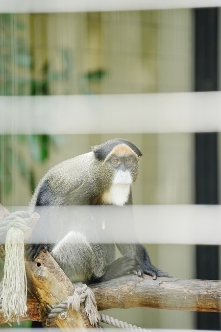 DSC08825.JPG