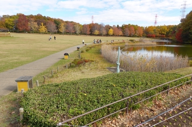 DSC08828.jpg