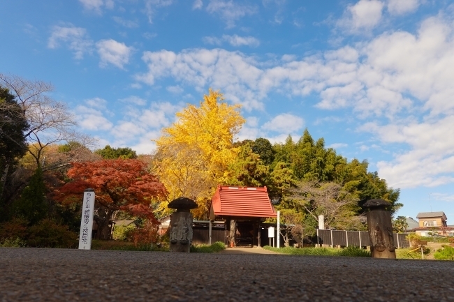 DSC08841.jpg