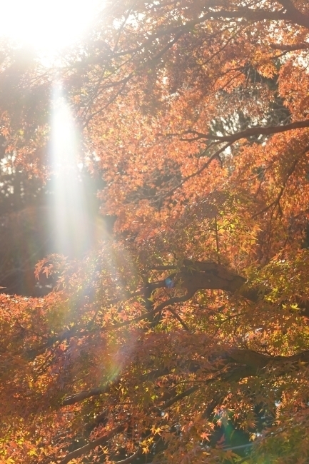 DSC08864.jpg