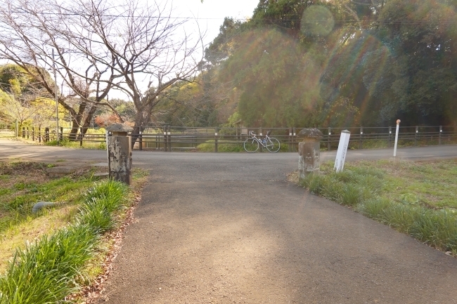 DSC08865.jpg