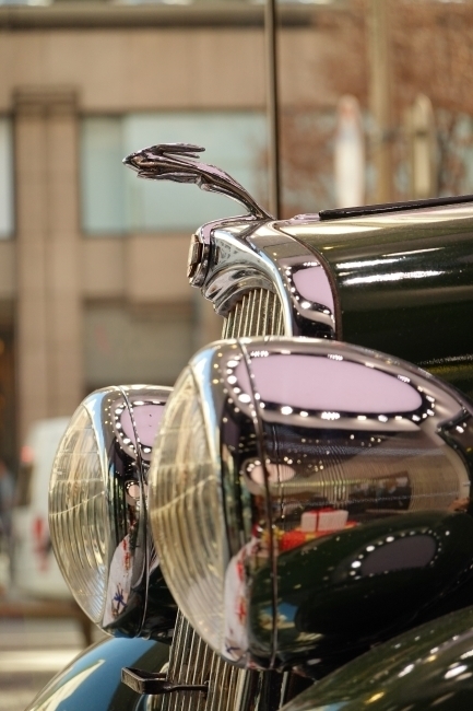 DSC08889.jpg