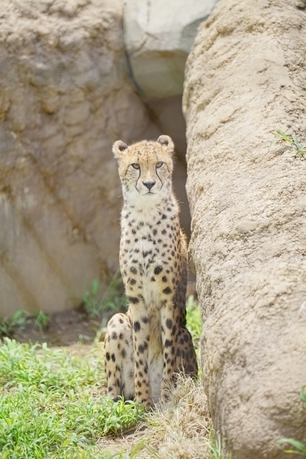 DSC08898.JPG