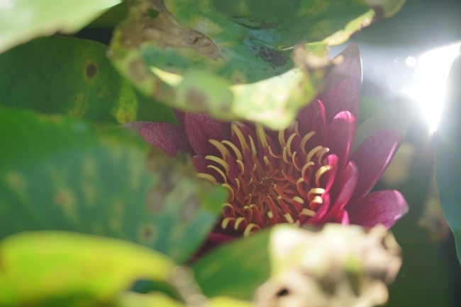 DSC08916.JPG