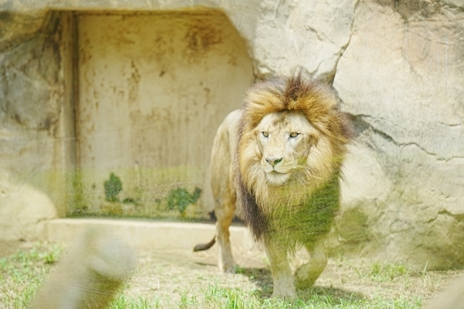 DSC08923.JPG