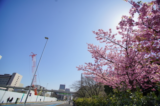 DSC08966+1.JPG