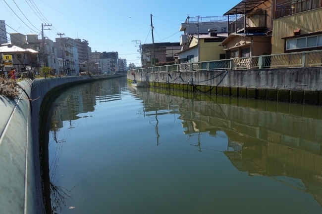 DSC09117.jpg