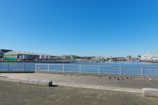 DSC09120.jpg