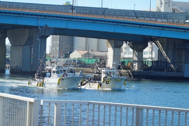 DSC09122.jpg