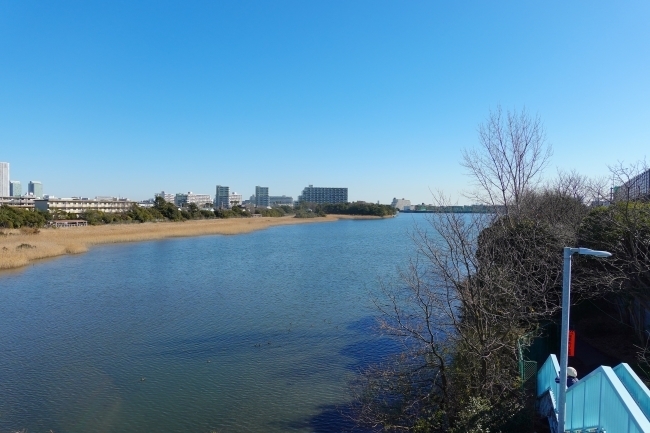 DSC09128.jpg