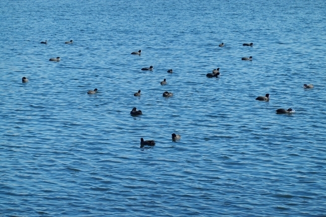 DSC09134.jpg