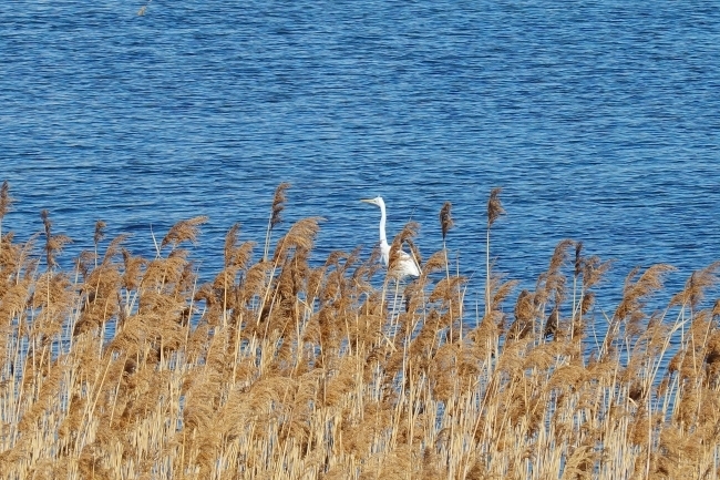 DSC09137.jpg