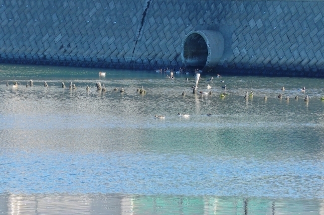 DSC09139.jpg