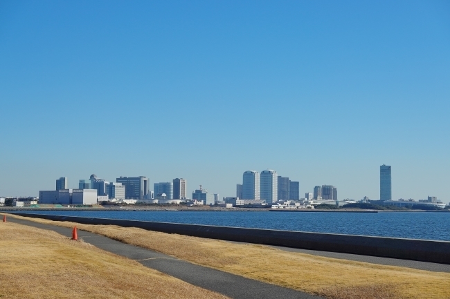 DSC09145.jpg