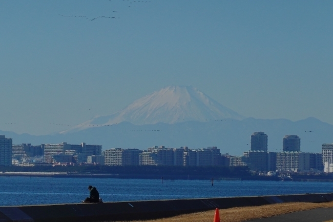 DSC09150.jpg